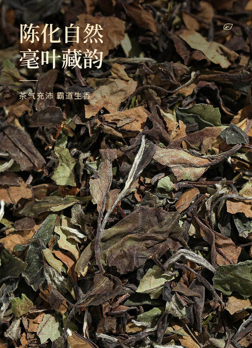 珍藏老白茶·寿眉2021·礼盒装260g(130g*2) 商品图3