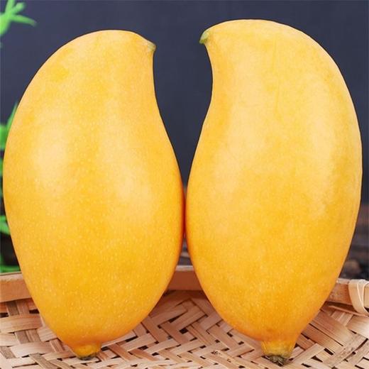 【甜蜜多汁】鹰嘴芒 约1000g/份 商品图0