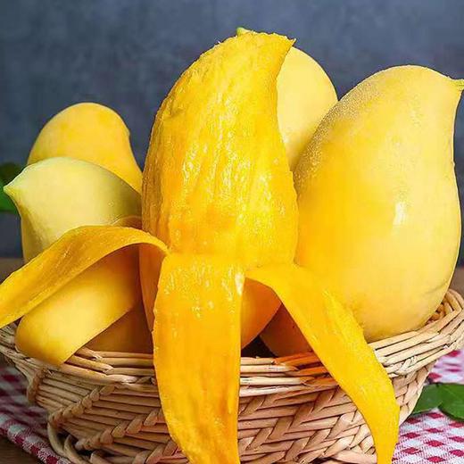 【甜蜜多汁】鹰嘴芒 约1000g/份 商品图1