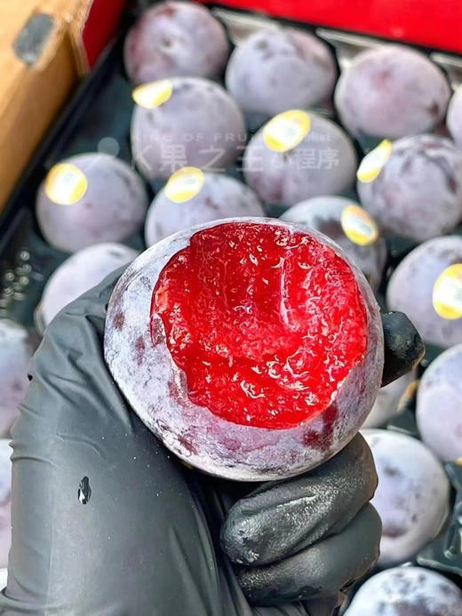 ‘夜玫瑰’恐龙蛋 ——果粉完整，稍软些爆汁，纯甜 商品图0