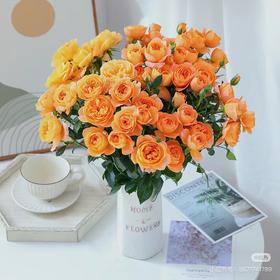 果汁阳台多头玫瑰4支