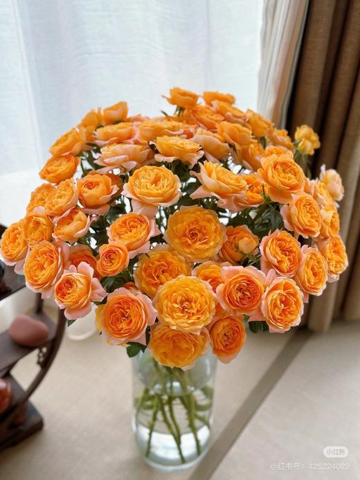 果汁阳台多头玫瑰4支 商品图2