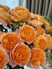 果汁阳台多头玫瑰4支 商品缩略图1