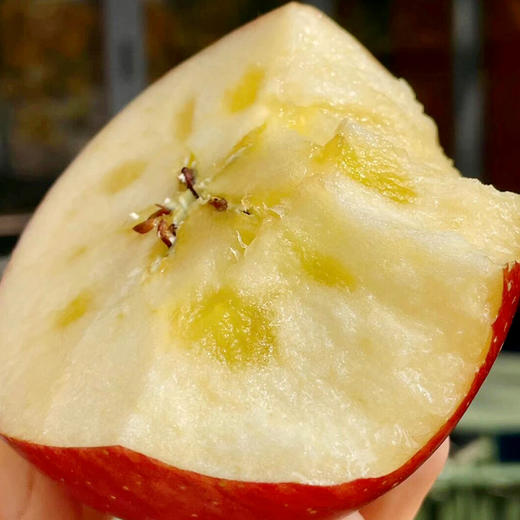 【云南昭通红露苹果】顺丰到家 色泽如玫瑰般鲜艳 果型饱满 口感爽脆可口 接近纯甜 口感细腻 当季红富士 4种规格任选 商品图2