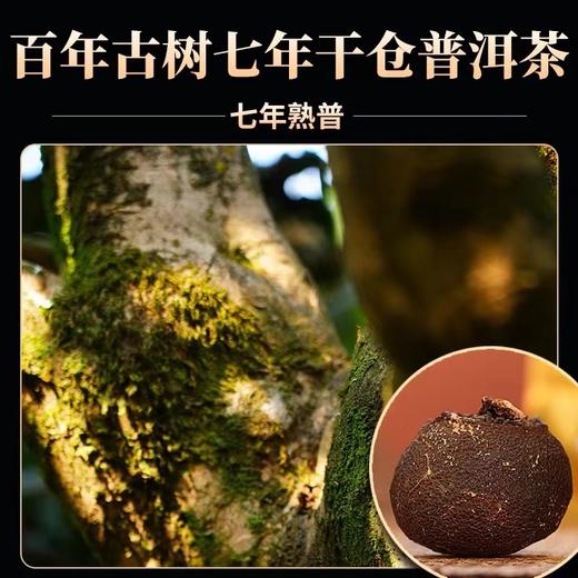 柑普茶 | 凤宁号 2023年 陈年古树 大红柑 +古树熟普 柑普茶  250g /袋 商品图2