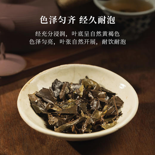 「北路白茶」非煮不可 福鼎白茶寿眉饼茶2016年九年陈老白茶100g 商品图1