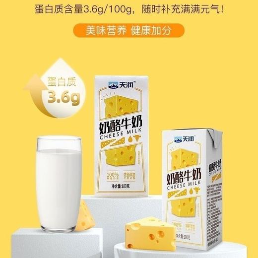 天润奶酪牛奶 180g*12盒 商品图2