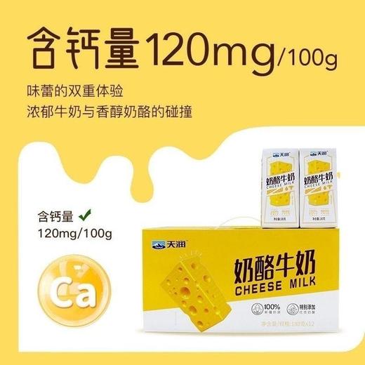 天润奶酪牛奶 180g*12盒 商品图4