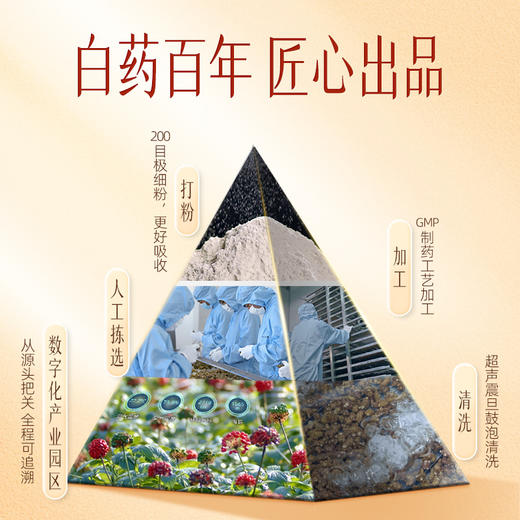 【官方正品】云南白药豹七三七极细粉260g正宗文山三田七正品三七头打粉道地三七 商品图2