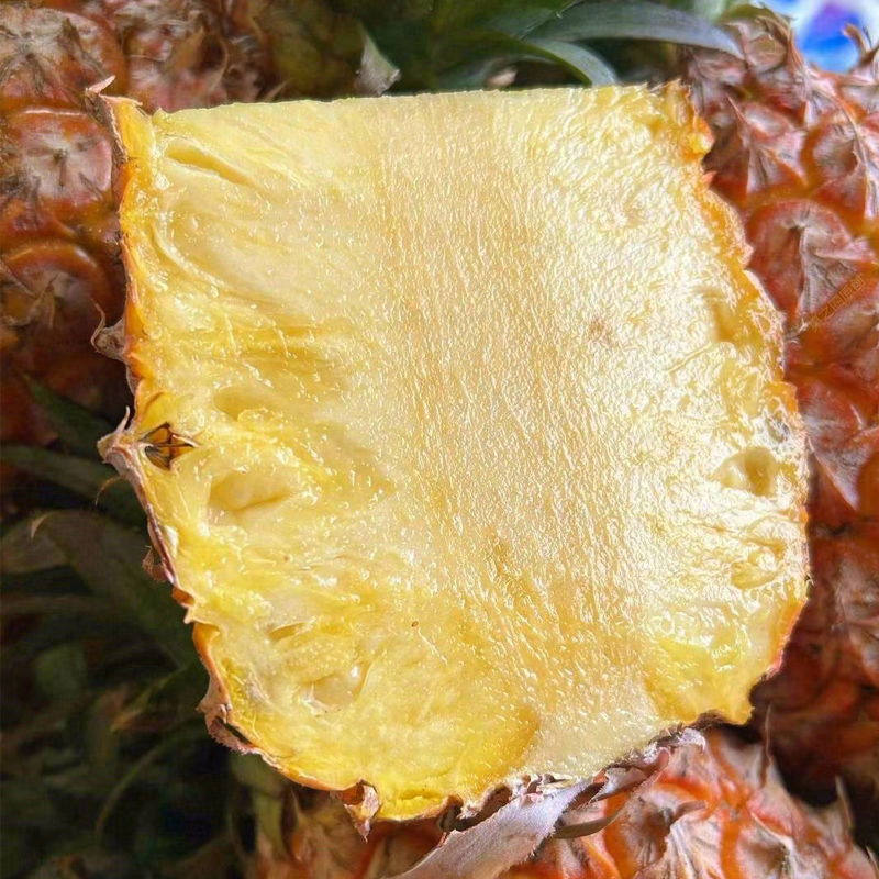 【香甜脆爽】金钻凤梨 约1.5kg/个