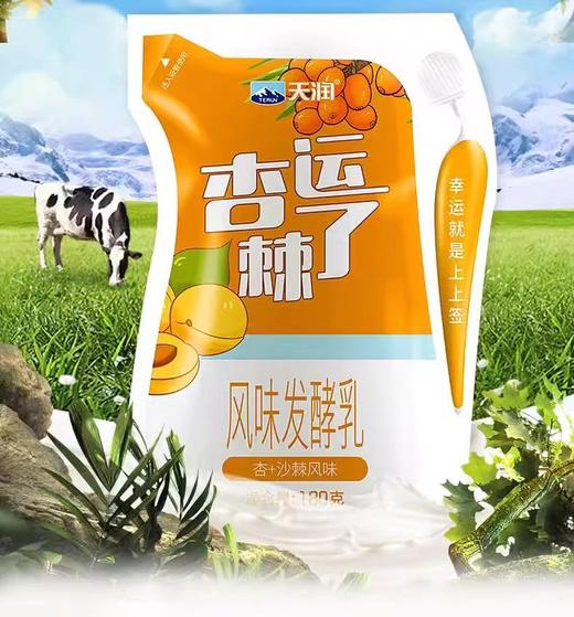 天润爱克林-杏运棘了 180g*12袋 商品图3