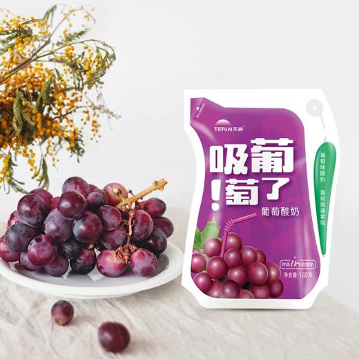 天润爱克林-吸葡萄了酸奶 180*12袋 商品图1