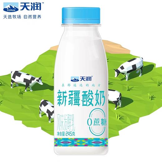天润酸奶新疆原味酸牛奶低温 老酸奶风味发酵乳整箱 245g*8 新疆美食 特产 商品图0