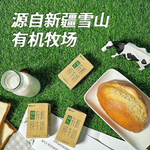 天润雪山有机纯牛奶 125*20  新疆天润乳业营养早餐 商品图4