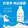 天润新疆低温酸奶阿尔泰饮用型风味发酵乳1KG*2瓶 商品缩略图3