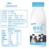 新疆天润鲜牛乳245g*8瓶低温纯牛奶巴氏鲜奶杀菌全脂营养早餐鲜奶 商品缩略图3