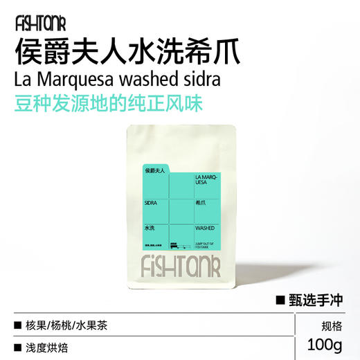 厄瓜多尔侯爵夫人水洗希爪甄选手冲咖啡豆 商品图0