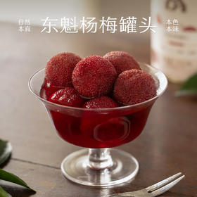 南食召 本真杨梅罐头 2024