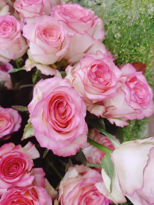 爱莎玫瑰10支 商品图0