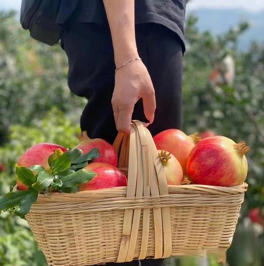 【产地自采】9.9元4颗 软籽石榴 商品图3