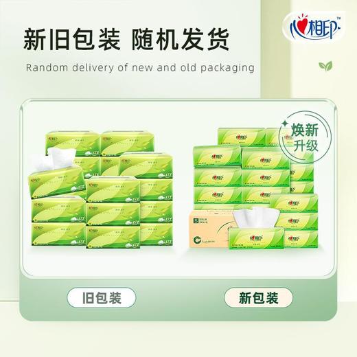 心相印 柔肤擦手纸茶语丝享系列100抽*20包一箱面巾纸餐巾纸卫生纸层 商品图1
