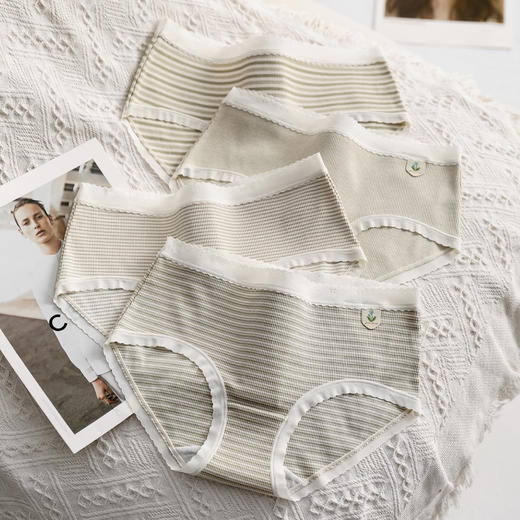 芬腾四条装内裤女四季款中腰性感舒适抗菌透气全棉内裆三角短裤头 商品图0