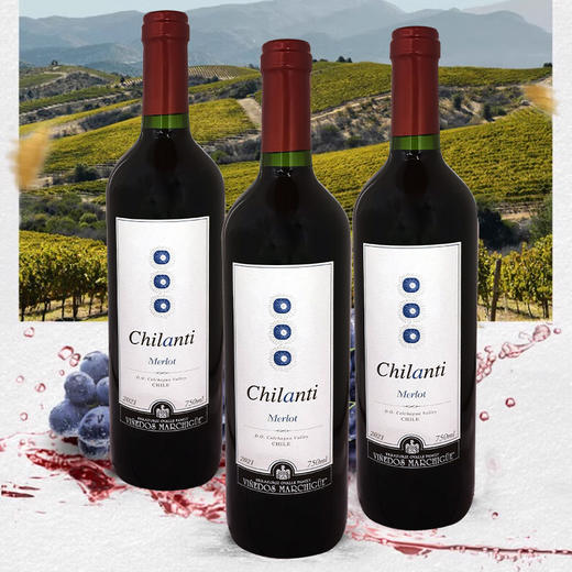 智利进口赤龙狄梅洛红葡萄酒750ml 商品图1