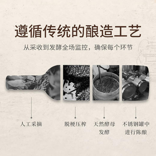 智利进口赤龙狄梅洛红葡萄酒750ml 商品图2