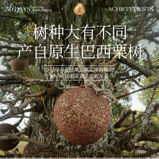 【1件包邮】觅菓AA+大鲍鱼果仁299g/152813 亚马逊雨林富硒鲍鱼果 甘肃/青海/内蒙古/新疆/西藏/宁夏/海南/港澳台不发货 商品图2