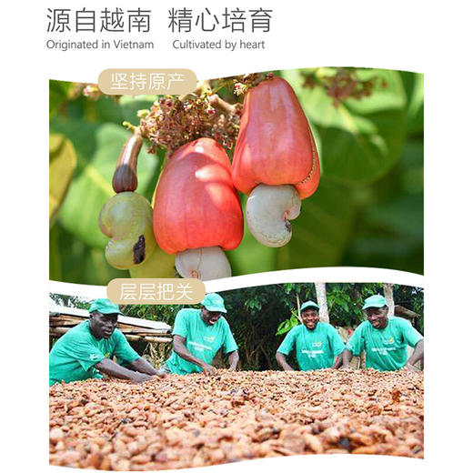 佰斯纳特紫衣腰果320g/150689 品味香脆口感 商品图2