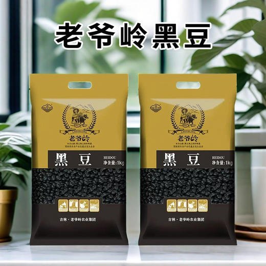 老爷岭黑豆1kg/袋 商品图0