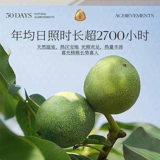 觅菓AA+有机核桃仁218g/152803 带皮吃不苦涩 商品图4