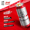 Budweiser/百威啤酒整箱经典醇正红罐拉格500ml*12听聚会装 商品缩略图2