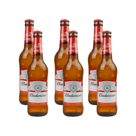 百威啤酒 小玻璃瓶330ml*6瓶整箱精酿黄啤小麦熟啤酒 商品图0