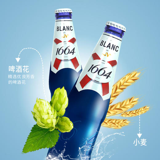 克伦堡1664嘉士伯白啤酒(柑橘果香)250ml*12瓶 商品图1