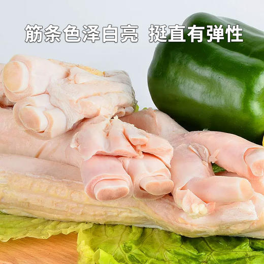 【清真】牛蹄筋1100±100g 原料原产国-乌拉圭 商品图3