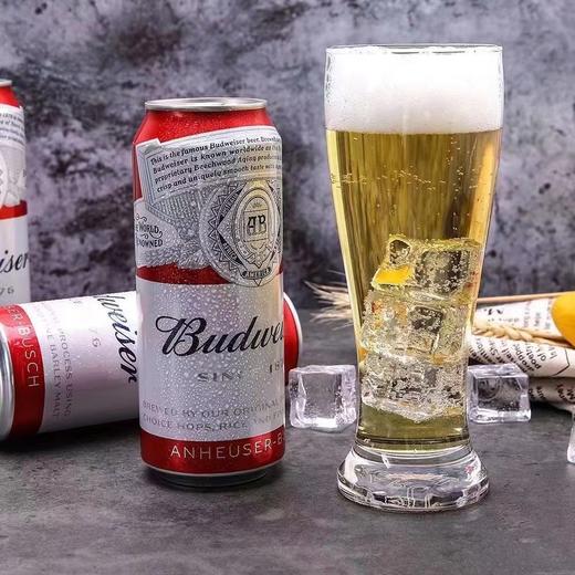 Budweiser百威啤酒经典醇正美式拉格500ml红罐系列黄啤醇正 商品图2