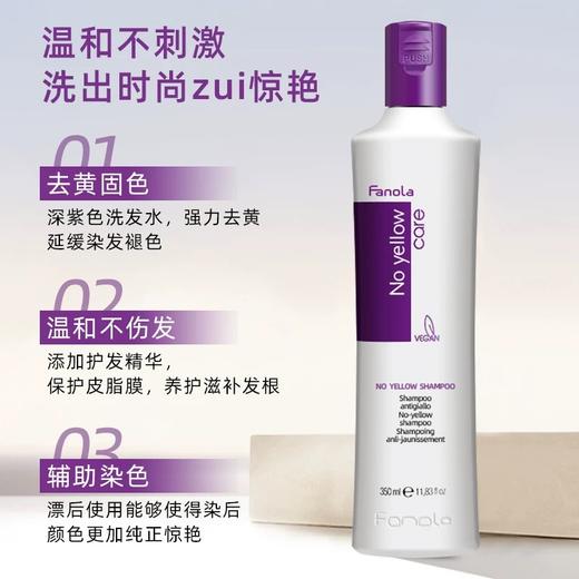 意大利fanola漂发去黄洗发水固色护色锁色专用洗发露防褪色染后 商品图1