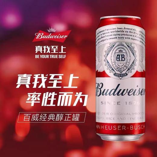 Budweiser百威啤酒经典醇正美式拉格500ml红罐系列黄啤醇正 商品图0