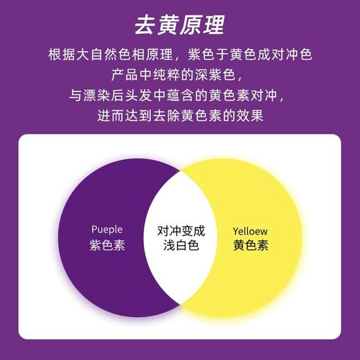 意大利fanola漂发去黄洗发水固色护色锁色专用洗发露防褪色染后 商品图3
