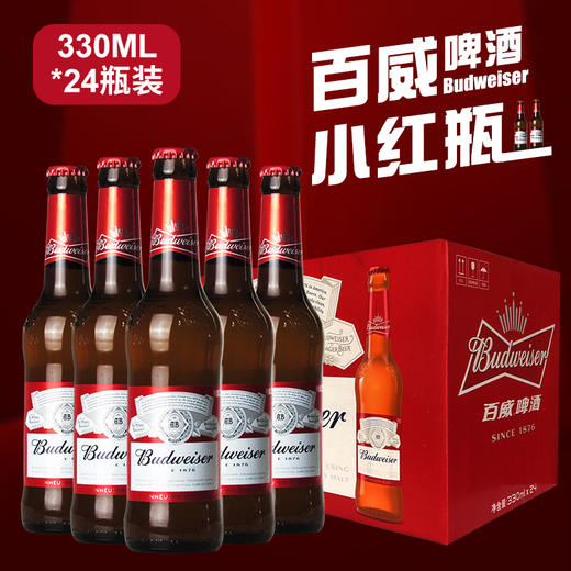 百威经典醇正啤酒330ml*24瓶整箱瓶装精酿黄啤小麦熟啤酒 商品图0