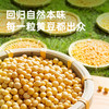 海天有机黄豆酱300g 怎么拌都好吃 挤挤装 商品缩略图5