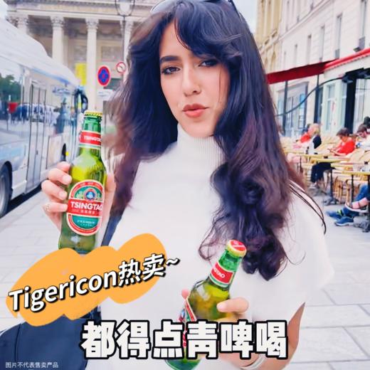 【青岛啤酒】全世界都在喝青岛  冰镇透心凉青岛经典8度啤酒  500ml/瓶 即买即送 商品图0