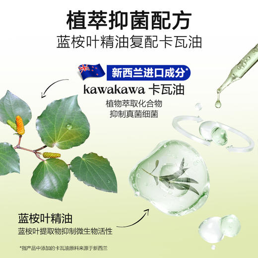 绽家多功能香氛球（6颗装） 商品图2