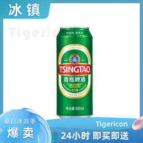青岛啤酒经典小麦啤酒500ml/罐 黄啤