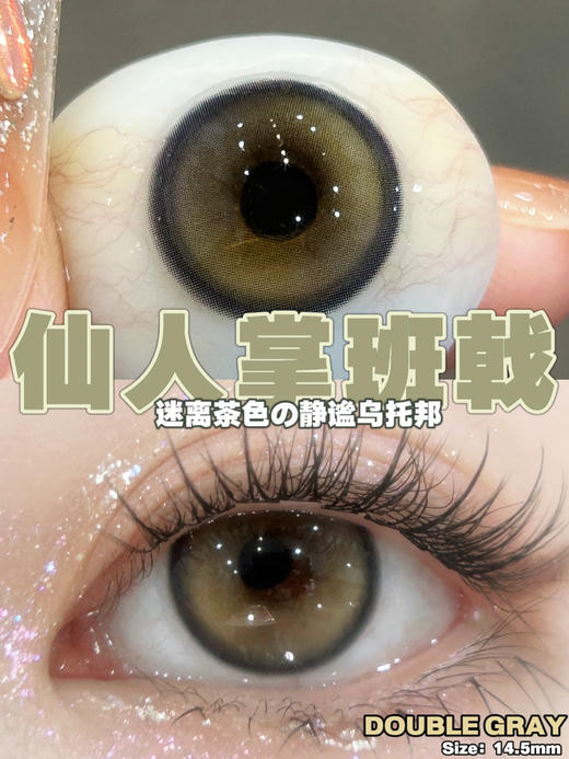 BOLLYCON 日抛 甜御太妃/橘星高照/仙人掌班戟 （巧棕绿灰 14.5最高800度） 商品图2