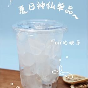 夏季畅饮冰杯 500ml/杯型 内含120g±10 冰快 冰美式可乐伴侣（盖子可选）