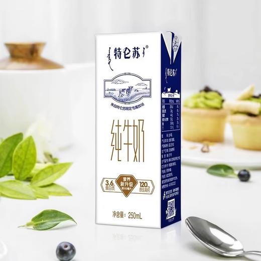 蒙牛特仑苏牛奶250ml*12 商品图1