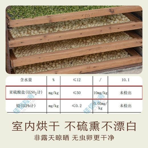 南食召 干莲子 商品图4