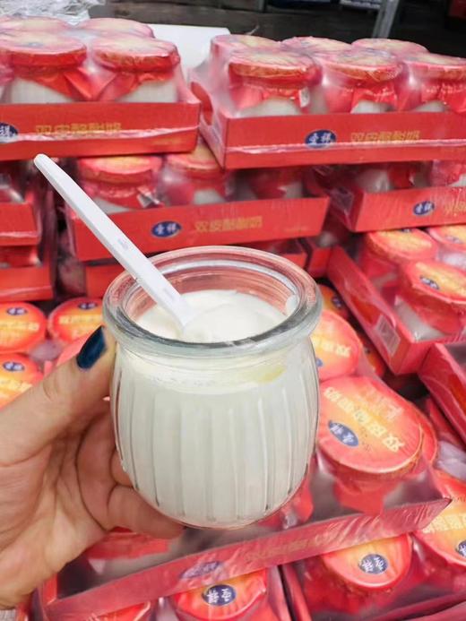 圣祥双皮酪酸奶一提 商品图3